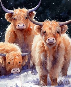Highland Cows Winter Snow Scene