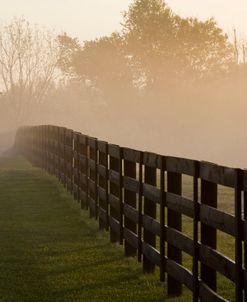 Morning Mist & Fence, Kentucky 08