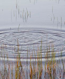 Tranquility, Wakefield, MI ’11