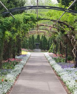 Archway & Path, Nasville, Tennessee ‘10