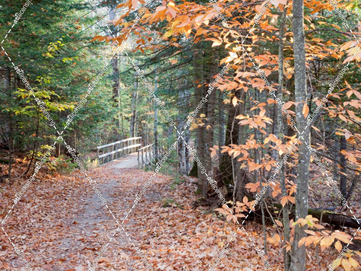 Bridge in Autumn, Sundell, Michigan ‘10