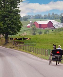 Buggy & Farm, Holmes County, Ohio ‘10