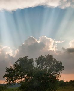 Evening Sunbeams, Sturgis, Michigan ‘10