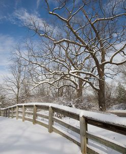 Fence in the Snow #2, Farmington Hills, Michigan ‘09