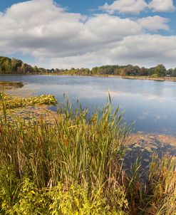 Hopkins Lake, Owosso, MI ‘10