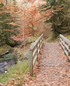 Painted Bridge & Forest