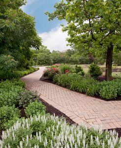 Pathway at Franklin Park, Columbus, Ohio ‘10