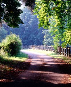 Path Into the Woods, Burgandy, France ‘99