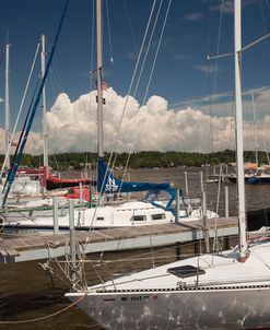 Sauagtuck Marina, Saugatuck, Michigan ‘10