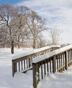 Snow Bridge, Farmington Hills, Michigan ‘09