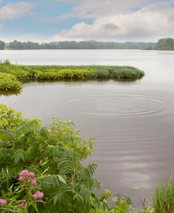 St. Joseph River, Centreville, Michigan ‘10