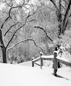 Snowscape, Farmington Hills, Michigan ‘08