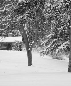 Snow Cabin