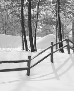 Fence & Shadow