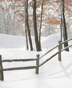 Winter Fence & Shadow, Farmington Hills, Michigan ‘09