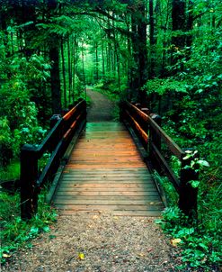 Wooden Bridge, Sundell, Michigan ‘90