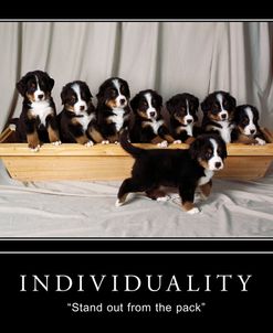 Individuality – Motivational