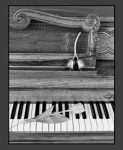 Piano & Tulips, Michigan 85(Print)