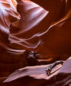 Antelope Canyon & Driftwood