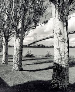 Ambassador Bridge Thru The Trees, Detroit, Michigan 06