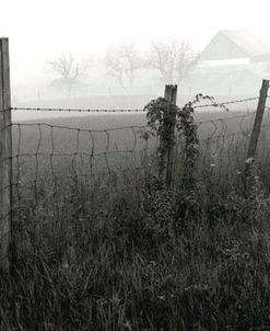 Barn In The Mist, Michigan 90