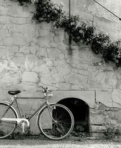 Bicycle & Cracked Wall, Einsiedeln, Switzerland 04