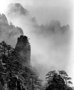 Bonzoi Trees & The Yellow Mountains, Huangshan, China