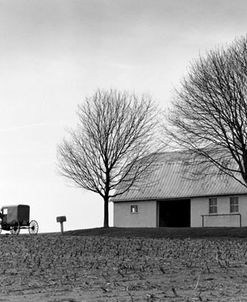 Buggy & Barn, Lancaster, Pennsylvania 94