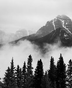Mountains & Mist, Canada 99