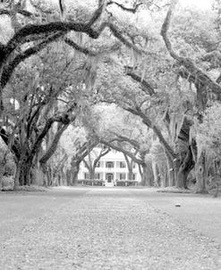 Rosemont Plantation, Louisiana 97