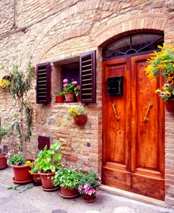 Flowers On The Wall, Tuscany, Italy 06 – Color