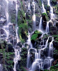 Ramona Falls Details, Zigzag, Oregon 92 – Color