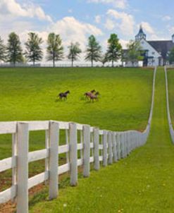 Manchester Farm, Kentucky 08 – Color