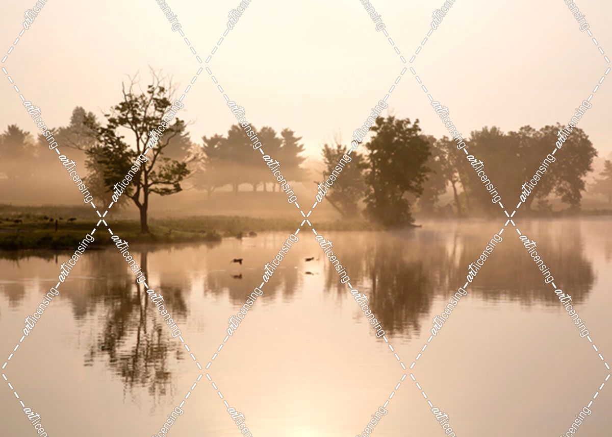 Morning at Jackobson Lake, Lexington, Kentucky ’12 – Color