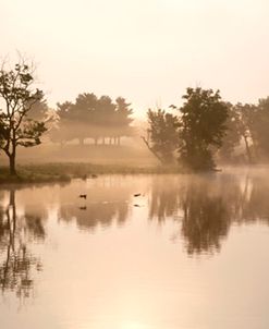 Morning at Jackobson Lake, Lexington, Kentucky ’12 – Color