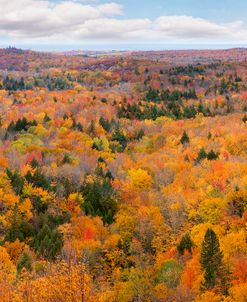 Autumn Palette, Marquette, Michigan ’12-color