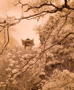 Pagoda In The Trees, Da Nang, Vietnam 07 – Monotint