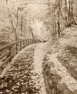 Fence & Pathway, Munising, Michigan ’12