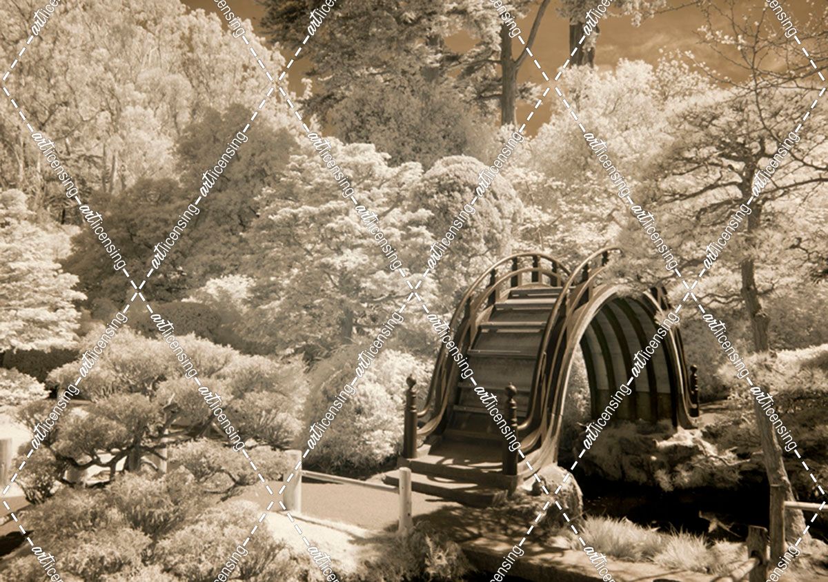 Bridge at Japanese Tea Garden, San Francisco, California ’11 – IR
