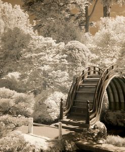 Bridge at Japanese Tea Garden, San Francisco, California ’11 – IR