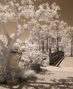 Bridge & Trees At Japanese Gardens, Delray Beach, Florida ’10-IR