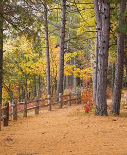 Fence At Wetmore Landing, Marquette, Michigan ’12-color