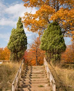 Wooden Steps In Autumn, Marquette, Michigan ’12-color
