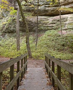 Bridge In The Canyon