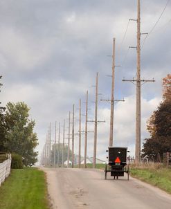 Buggy on the Road