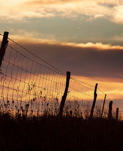 Fence at Sunset