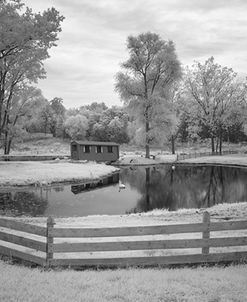 Pond & Fence