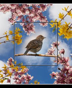 Bird among the Flowers