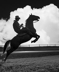 Cowboy & Horse