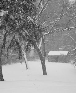 Snow Cabin #2